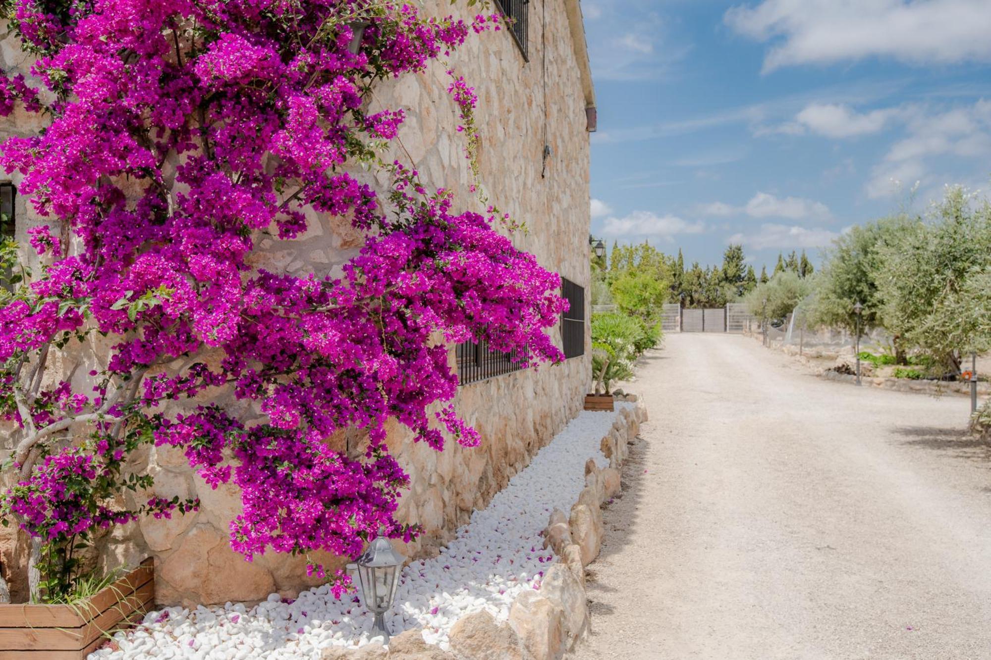 Villa Rural Avril Camarles Εξωτερικό φωτογραφία