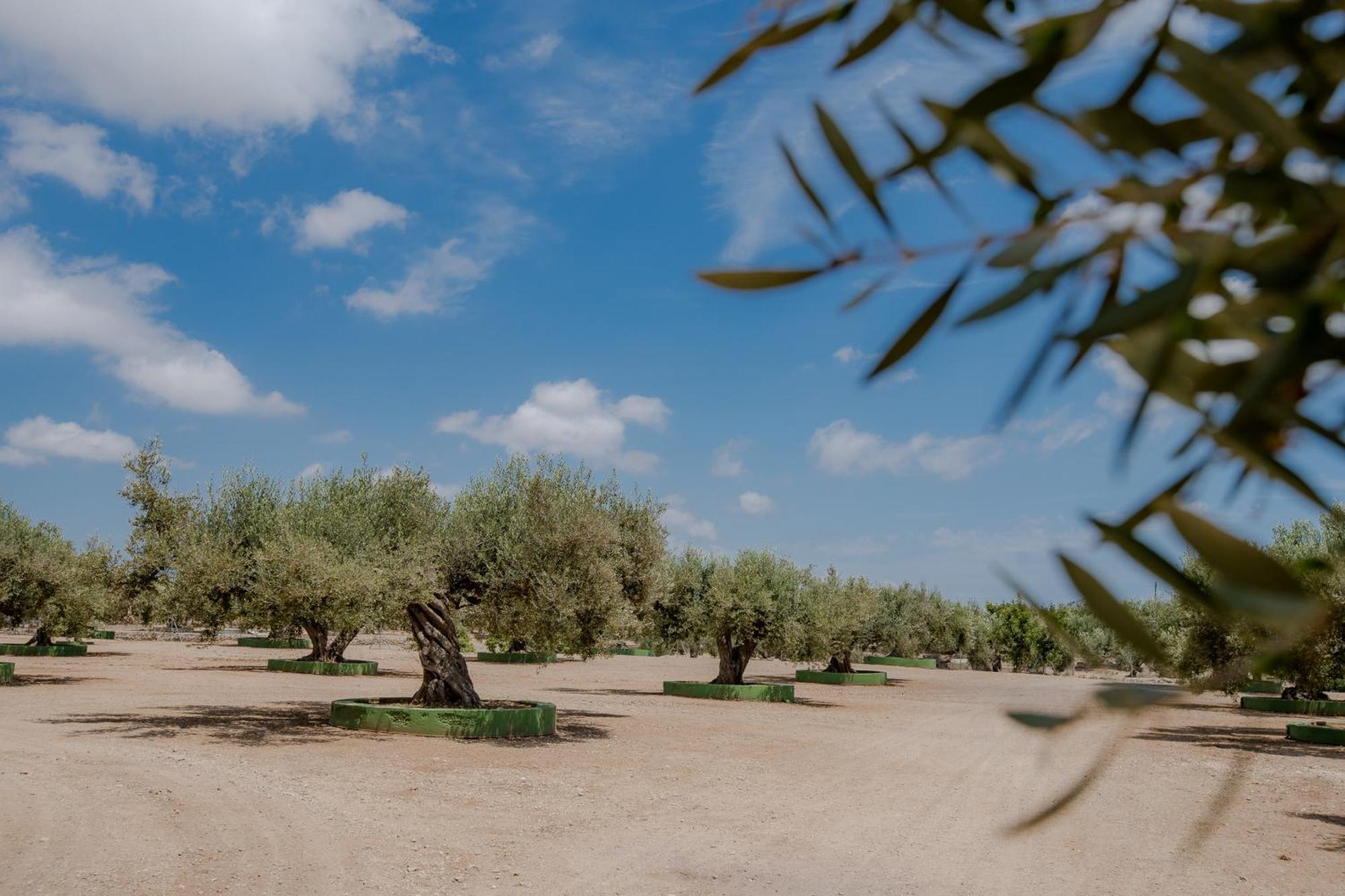 Villa Rural Avril Camarles Εξωτερικό φωτογραφία
