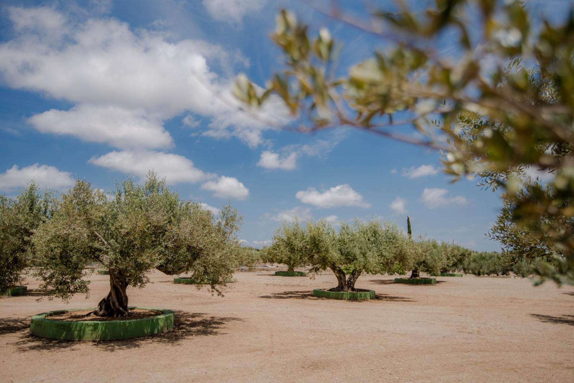 Villa Rural Avril Camarles Εξωτερικό φωτογραφία